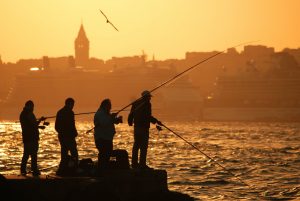 silhouette of people fishing on sea during sunset